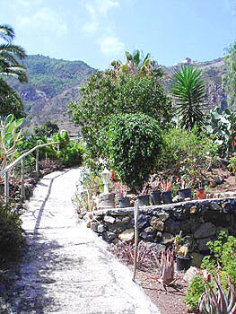 Botanischer Garten Botanischer Garten