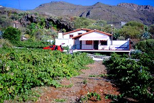 schönes Ferienhaus Teneriffa West bei Los Gigantes - die Aussenansicht schönes Ferienhaus Teneriffa West bei Los Gigantes - die Aussenansicht