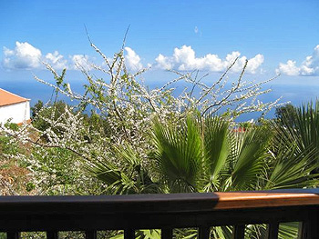 Blick vom Balkon