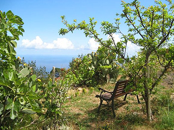 Garten mit Meerblick