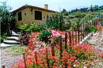 Günstiges Ferienhaus bei Icod de los Vinos, Teneriffa Nord (Nr. 0722)