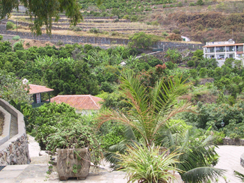 Finca Teneriffa Finca Teneriffa