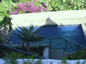 Pool Pool