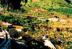 Landhaus Teneriffa Landhaus Teneriffa Landhaus Teneriffa Landhaus Teneriffa