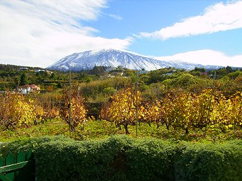 Der Teide - Spaniens höchster Berg