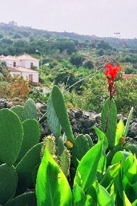 Studio auf Teneriffa Studio auf Teneriffa