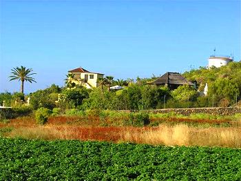 Ferienhaus nahe Icod de los Vinos Ferienhaus nahe Icod de los Vinos