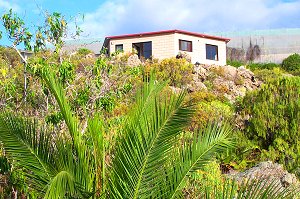 Freistehendes Ferienhaus in Icod im Norden von Teneriffa Freistehendes Ferienhaus in Icod im Norden von Teneriffa