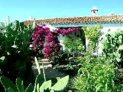 Appartement Teneriffa Appartement Teneriffa Appartement Teneriffa Appartement Teneriffa