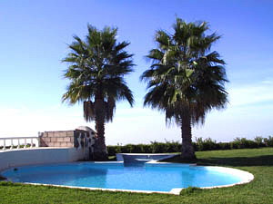 Pool unter Palmen Pool unter Palmen