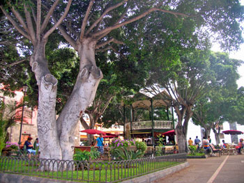 Park in Garachico Park in Garachico