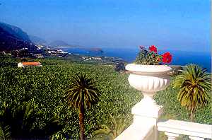 Ferienhaus Teneriffa Ferienhaus Teneriffa