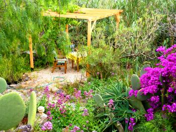 Großes Grundstück mit Garten Großes Grundstück mit Garten