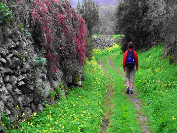 Wanderungen auf Teneriffa Wanderungen auf Teneriffa