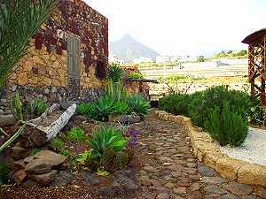 Finca Teneriffa Finca Teneriffa