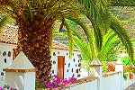 Spanisches Landhaus auf Teneriffa bei Icod de los Vinos (Nr. 0773) Spanisches Landhaus auf Teneriffa bei Icod de los Vinos (Nr. 0773)