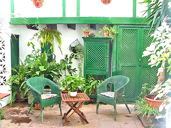 Terrasse