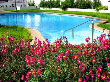 Gepflegter Pool mit Liegewiese