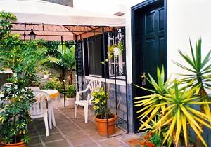 Begrünte, überdachte Terrasse Begrünte, überdachte Terrasse