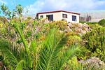 Freistehendes Ferienhaus in Icod im Norden von Teneriffa