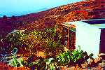 Teneriffa