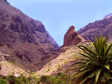 Teneriffa - Tenogebirge