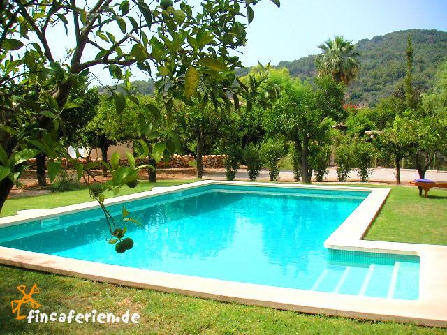 3123 pool
