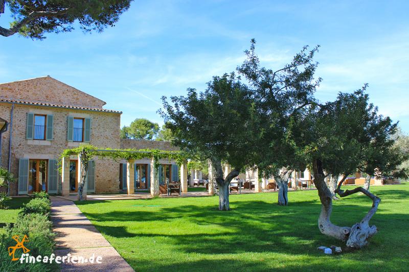 Sterne Hotel Mallorca Direkt Am Meer Sterne Hotel Mallorca Direkt Am Meer