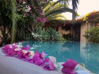 Ferienhaus mit Infinity-Pool und tollem Meerblick Ferienhaus mit Infinity-Pool und tollem Meerblick