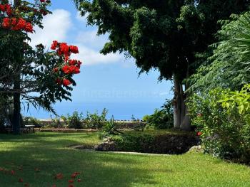 Garten mit Rasen, Meerblick und Flammenbaum